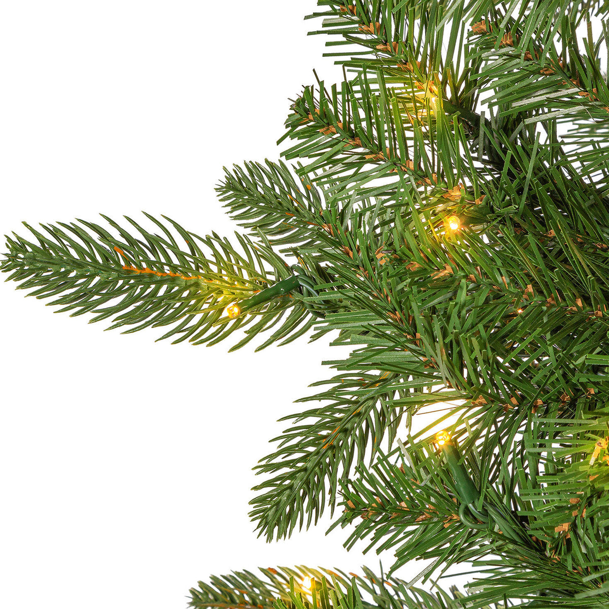 12 ft Pre-Lit Natural Cut Narrow Saginaw Spruce Christmas Tree with 1100 Color-Changing LED Lights
